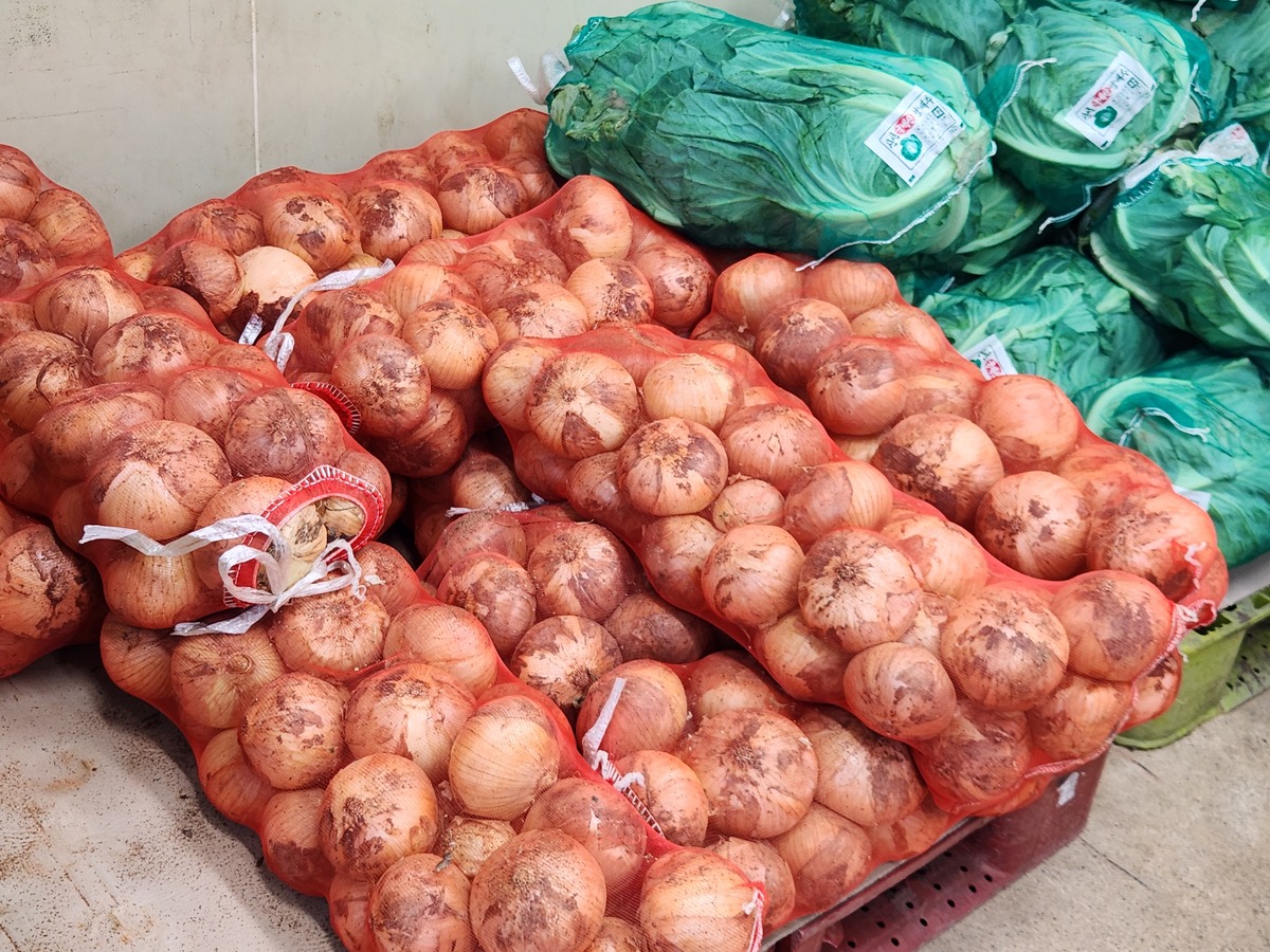 양파 보관법, 양파 곰팡이, 양파 냉동보관, 양파 유통기한, 양파 손질