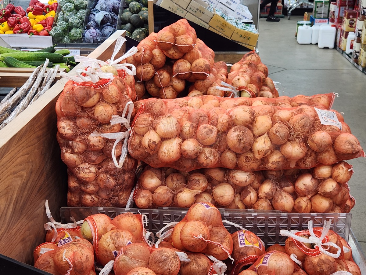 양파 보관법, 양파 곰팡이, 양파 냉동보관, 양파 유통기한, 양파 손질