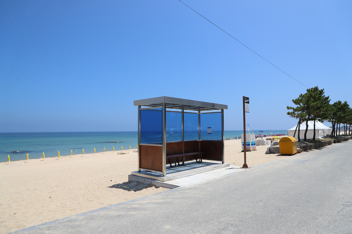 국내 겨울 여행지 추천, 겨울 여행 추천지, 커플 겨울 여행지, 겨울 뚜벅이 여행지