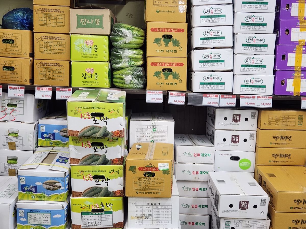 지출증빙 현금영수증, 현금영수증 부가세, 소득공제 현금영수증, 현금영수증 지출증빙용, 사업자 비용처리