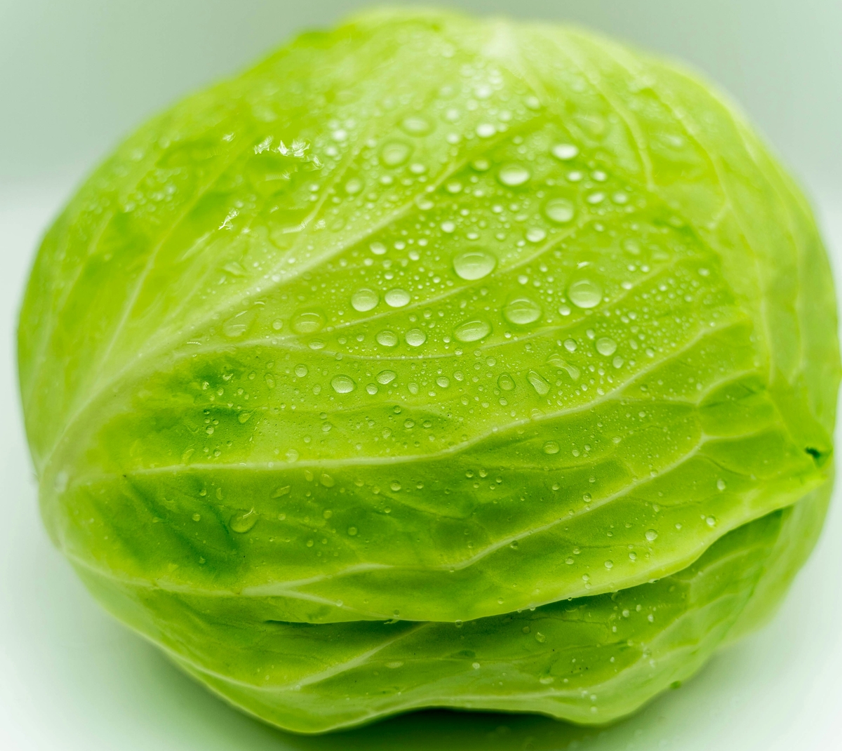 양배추 손질, 양배추 보관, 양배추 심지, 양배추 채썰기, 양배추 갈변